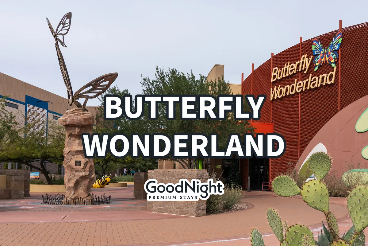 This exterior image features the Butterfly Wonderland sign and a whimsical butterfly sculpture, set among local cacti. The scene invites curiosity and hints at the educational and interactive experiences families can enjoy at this top-rated conservatory.