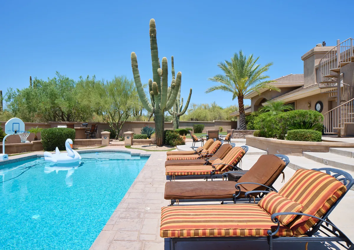 An inviting exterior shot of a resort-style backyard featuring a sparkling swimming pool, lounge chairs, cacti, palm trees, and a basketball hoop. The scene suggests sunbathing, swimming, casual games, and social gatherings.