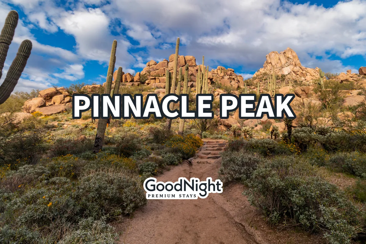 A dramatic desert scene featuring natural rock formations, towering cacti, and a winding hiking path that invites exploration. The landscape is rugged yet accessible, perfect for nature walks, hiking, and photography.