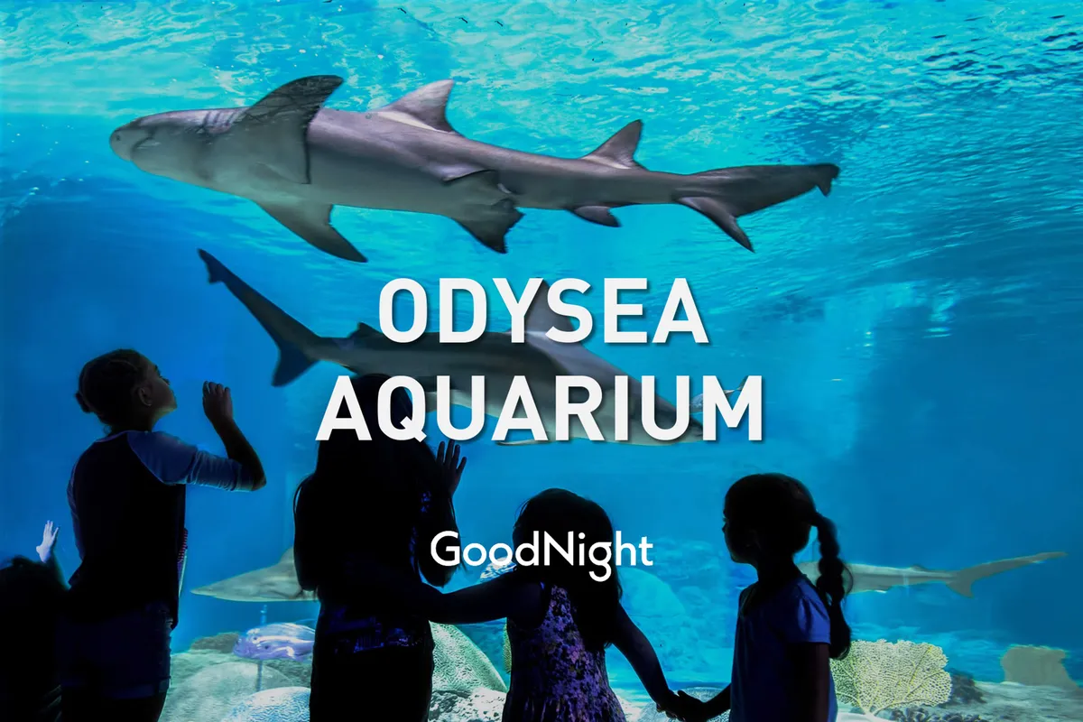 An interior view of an aquarium with children gazing in awe at large sharks swimming behind glass, set against the captivating blue glow of the exhibit. The scene captures wonder and curiosity, mirroring the hands-on, educational experiences described at OdySea Aquarium.